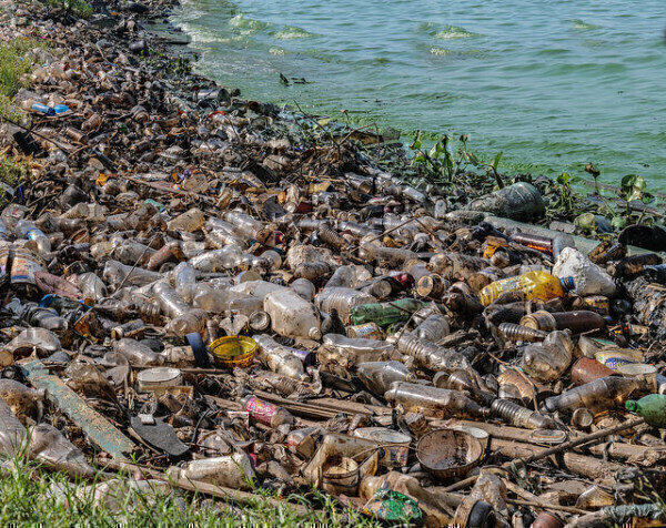 how-does-water-pollution-affect-the-environment-pollution-solutions-online